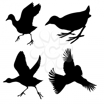Royalty Free Clipart Image of Birds
