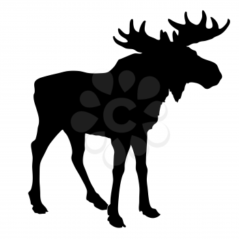 Royalty Free Clipart Image of a Moose