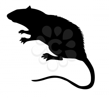 Royalty Free Clipart Image of a Rat