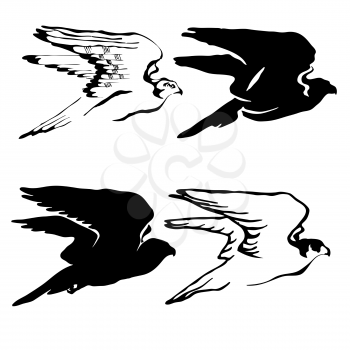 Royalty Free Clipart Image of Hawks