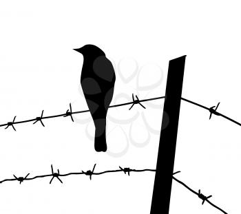 Royalty Free Clipart Image of a Bird Sitting on Barbwire
