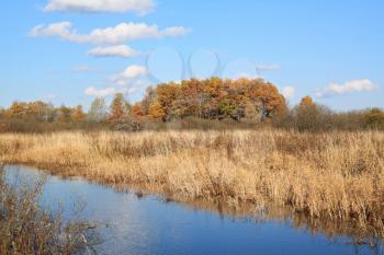 small river on autumn field