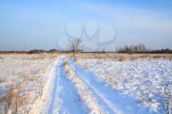 rural road through winter field