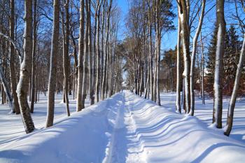 snow lane in winter park