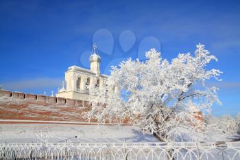 tree in snow against old fortress