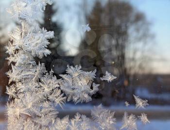 white crystal ice on windowpanes