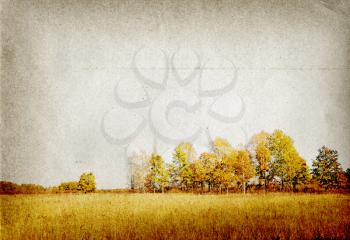 autumn landscape on grunge background