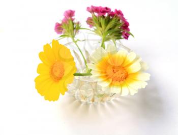 flowerses in vase
