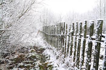 old fence in snow