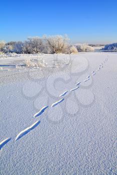 human trace on crystalline snow