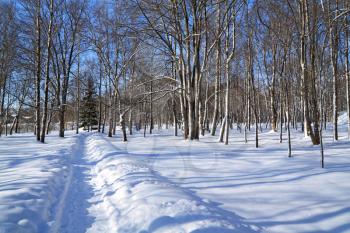 snow lane in winter park 