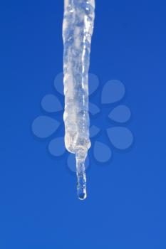 blanching icicle on turn blue background