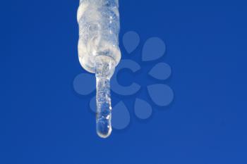 blanching icicle on turn blue background