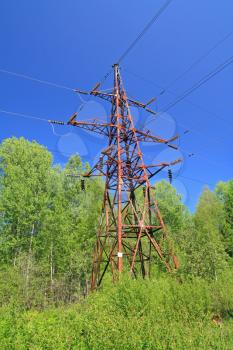 electric pole amongst green wood