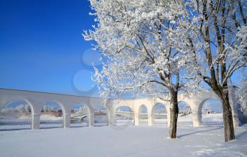 snow tree near ancient wall