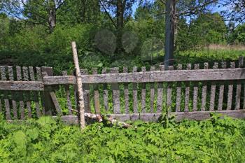 old fence in green herb 