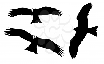 ravenous birds on white background, vector illustration