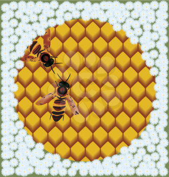 Royalty Free Clipart Image of Bees on Honeycomb