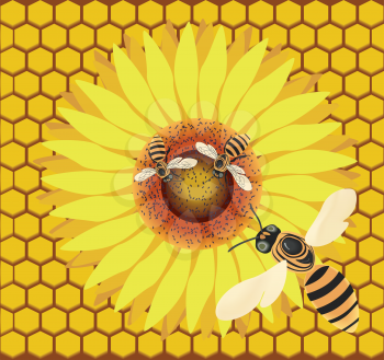 Royalty Free Clipart Image of Bees on a Flower Against Honeycomb
