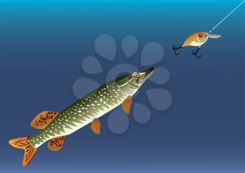 Royalty Free Clipart Image of a Fish Going For Bait