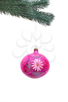 Branch spruce decorated with a Christmas ball on a white background. 
                    