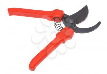 Garden shears with red handles on a white background.
SONY DSC                    