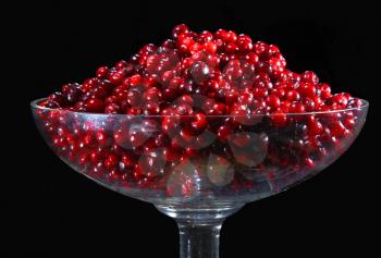 Berries red red bilberry, in glass vases on a black background. 
                   