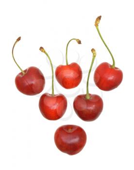 Sweet cherry fruits on a white background.                    