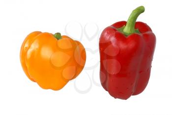 Sweet yellow, red, pepper on a white background.                    