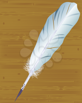Goose feather, EPS10 - vector graphics.