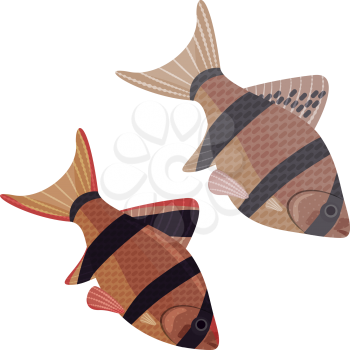Fishes aquarium exotic puntius tetrazona, EPS10 - vector graphics.