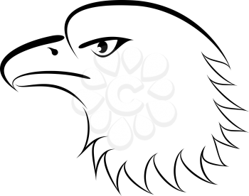 Linear drawing bald eagle genre minimalism