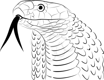 Stylized Snake Head Line Drawing