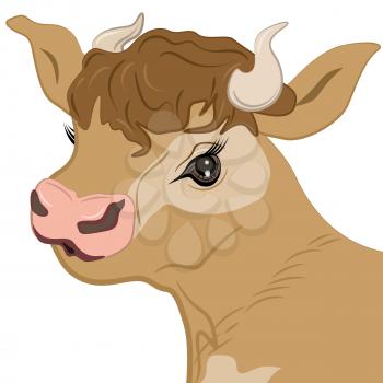 Glamorous cow face, vector illustration EPS 10