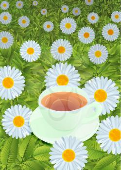 Chamomile field cup with drink, vector illustration EPS 10