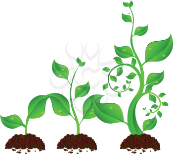 Royalty Free Clipart Image of Three Plants in Dirt