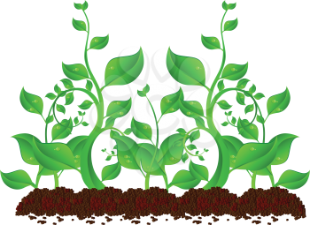Royalty Free Clipart Image of a Plant and Dirt