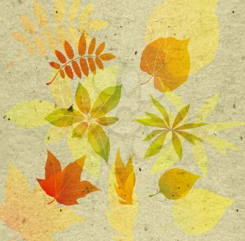 textured background with autumn leaf