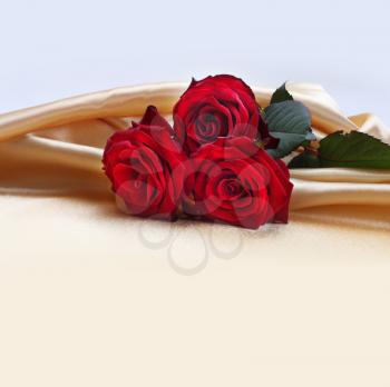 red roses on silk background