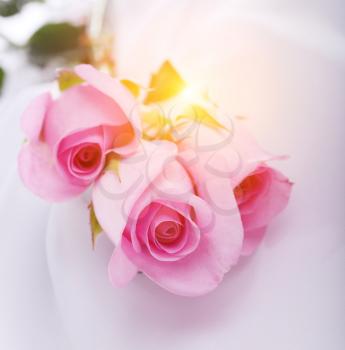 pink roses on a white silk