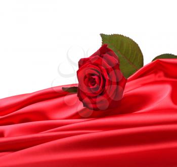 rose on red silk