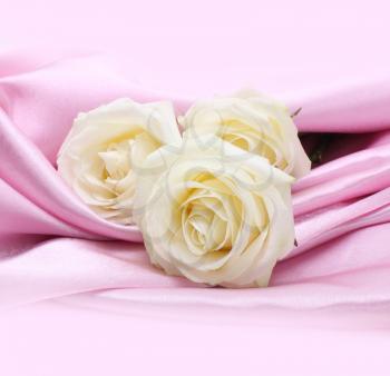 rose on pink silk background