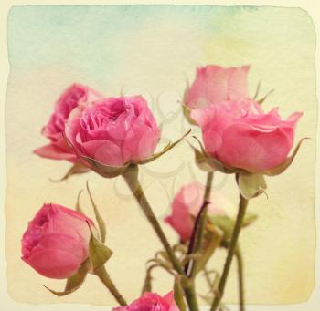 Roses bouquet. Vintage retro style. Paper textured.