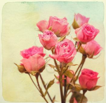 Roses bouquet. Vintage retro style. Paper watercolor textured.