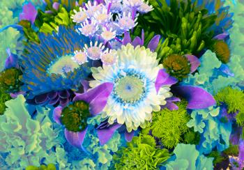 blooming flowers colorful bouquet background