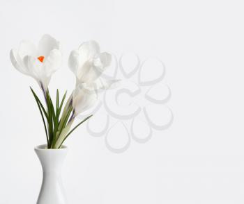 white flower bouquet on light background