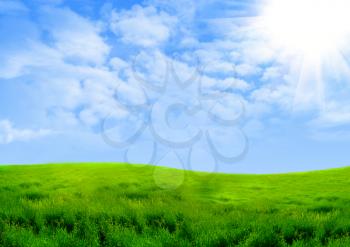 Green grass against the dark blue sky