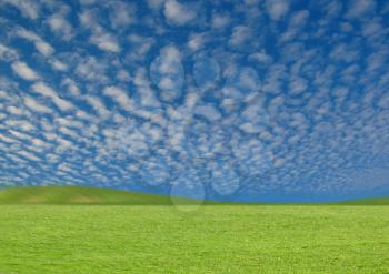 Royalty Free Photo of Green Grass and Blue Sky