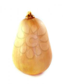 butternut squash isolated on white background 