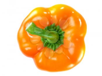 Top view Orange bell pepper isolated on white background 
